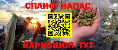 гашик Будённовск