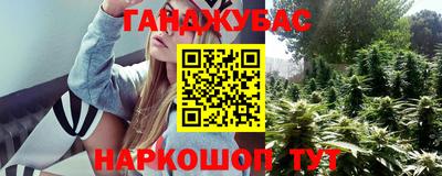 гашик Будённовск
