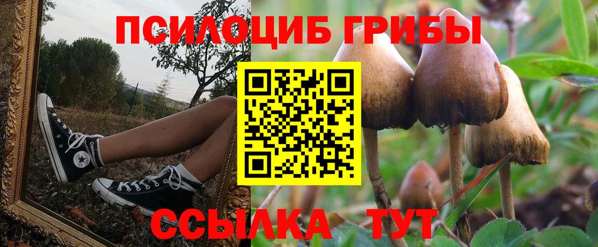 Гай  Псилоцибиновые грибы ЛСД  Псилоцибиновые грибы мухоморы  наркотики  Вход с VPN 