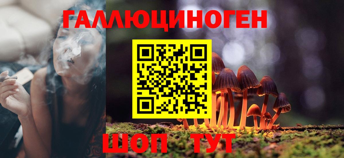 Псилоцибиновые грибы MAGIC MUSHROOMS  Гай  Псилоцибиновые грибы MAGIC MUSHROOMS 