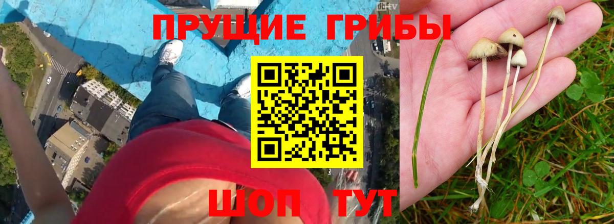 Псилоцибиновые грибы мухоморы  Гай 