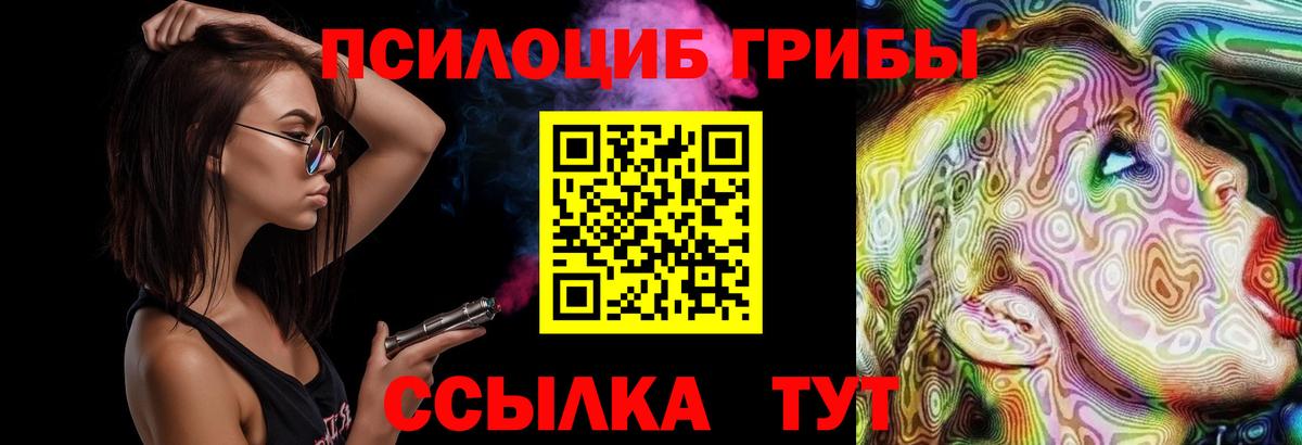 Псилоцибиновые грибы мицелий Гай