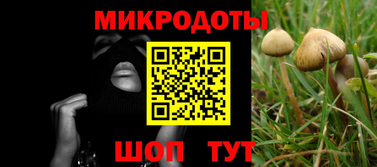 Галлюциногенные грибы ЛСД Гай