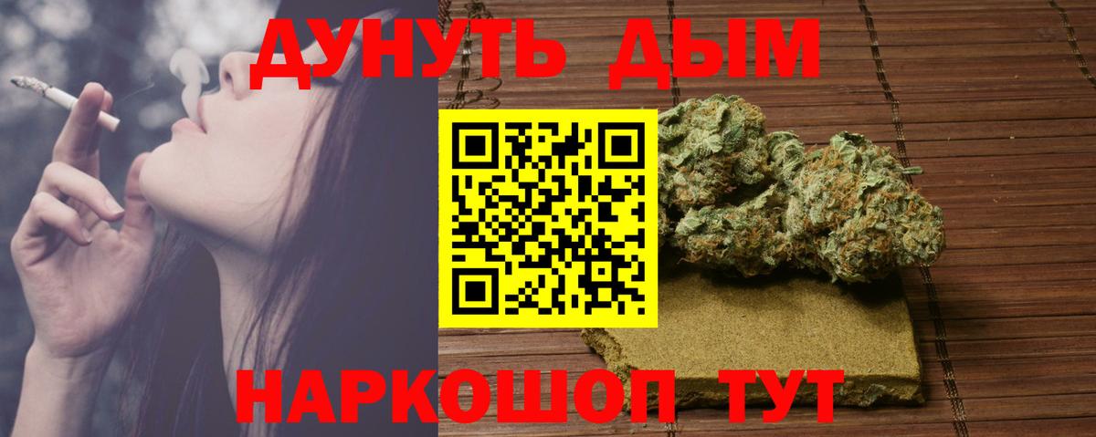 Шишки марихуана сатива Гай